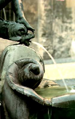 particolare dei delfini
